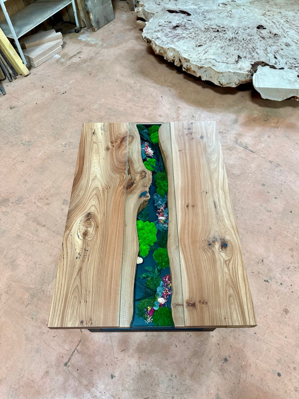 Table basse en bois d'orme et végétaux stabilisés