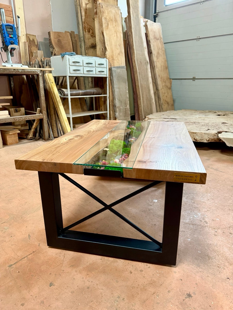 Table basse en bois d'orme et végétaux stabilisés