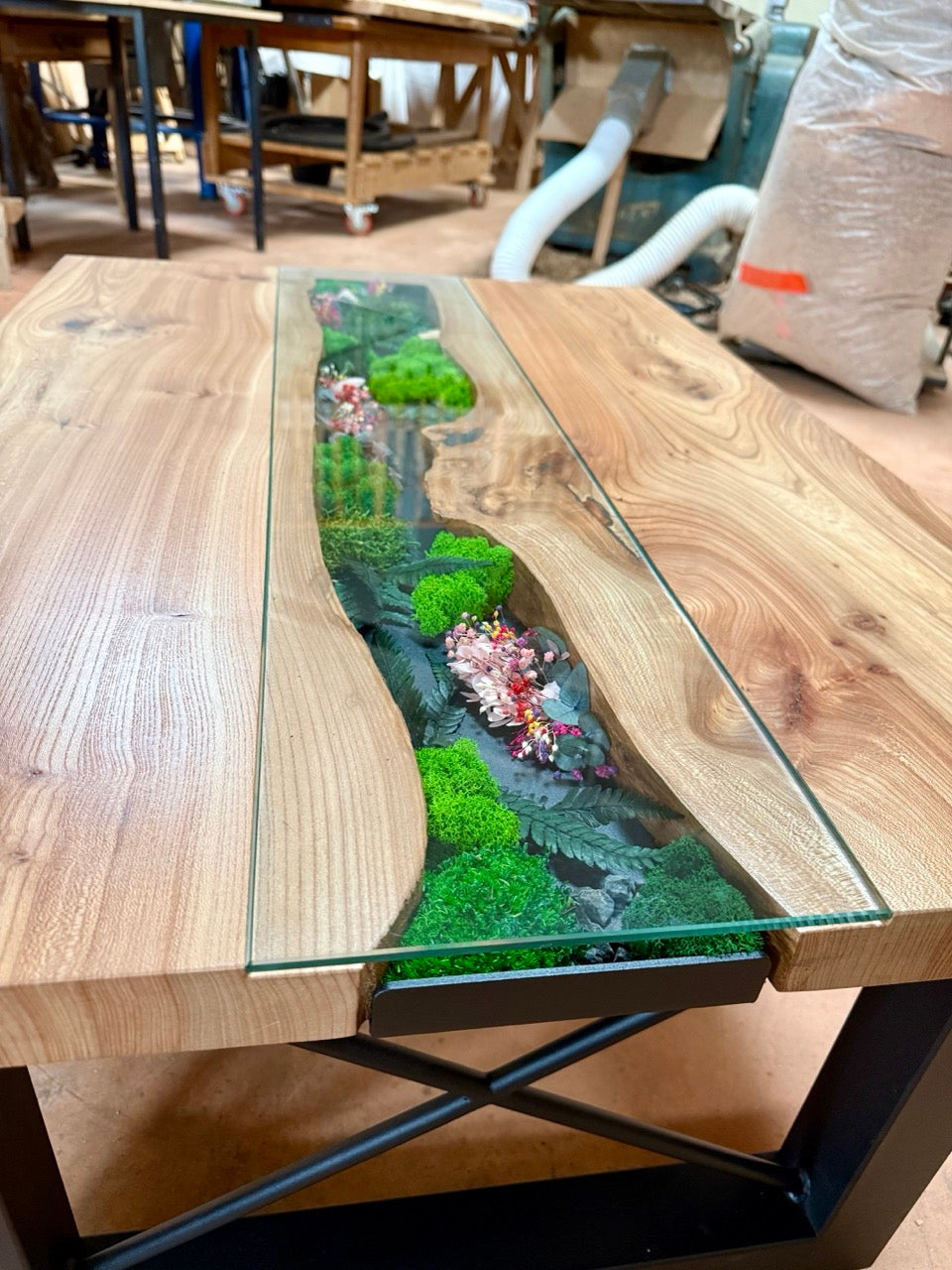 Table basse en bois d'orme et végétaux stabilisés