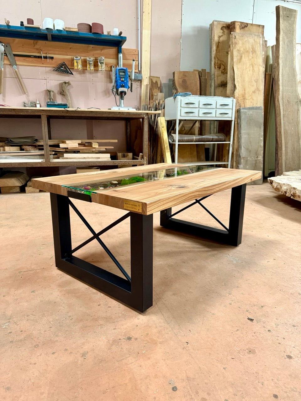 Table basse en bois d'orme et végétaux stabilisés