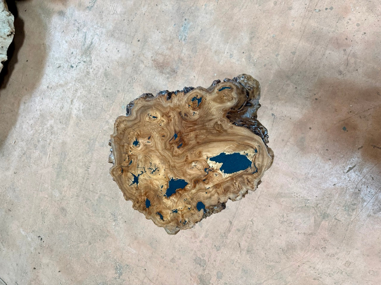 Table basse en rondelle de bois d'orme galeux