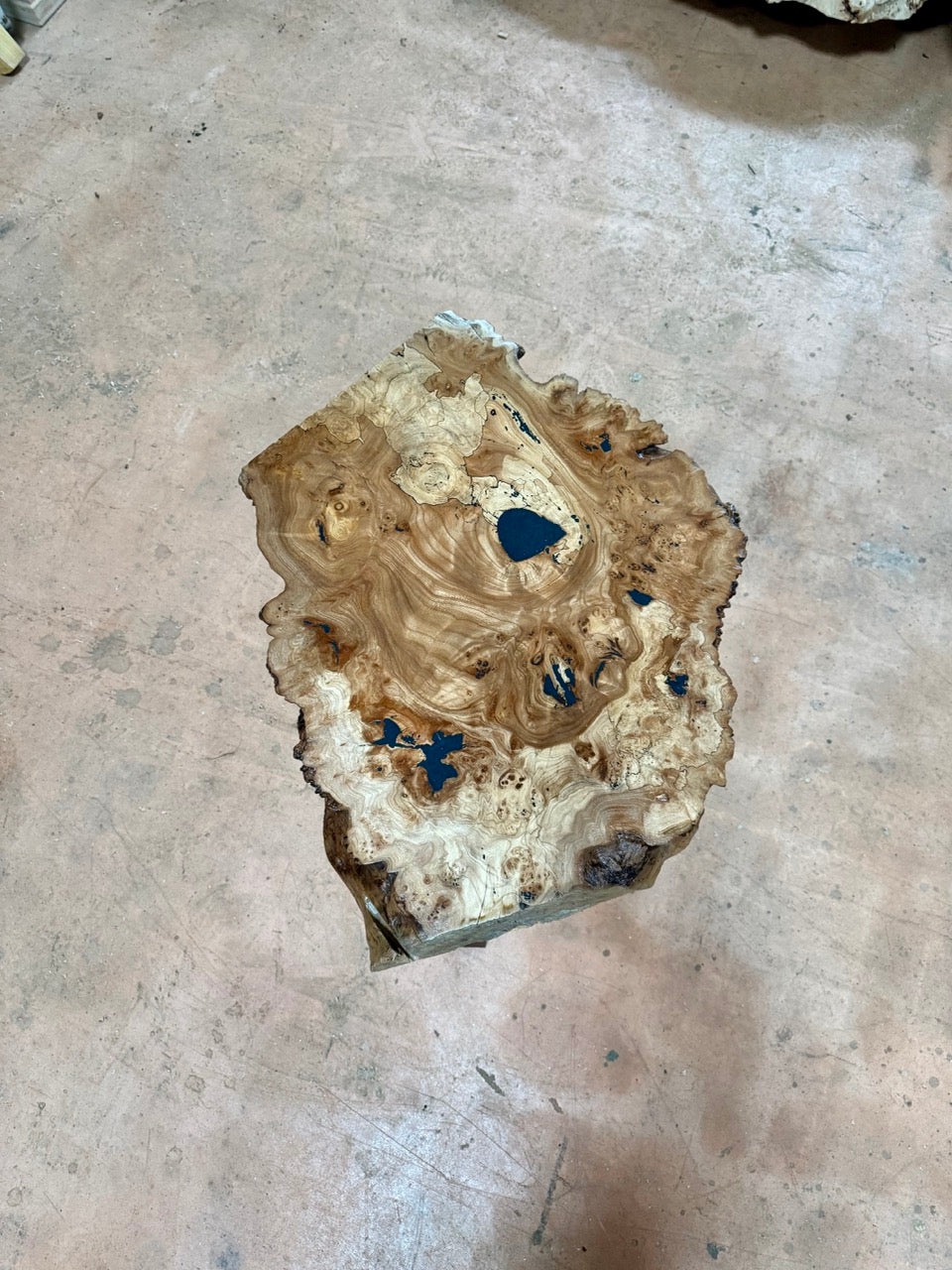 Table basse en rondelle de bois d'orme galeux