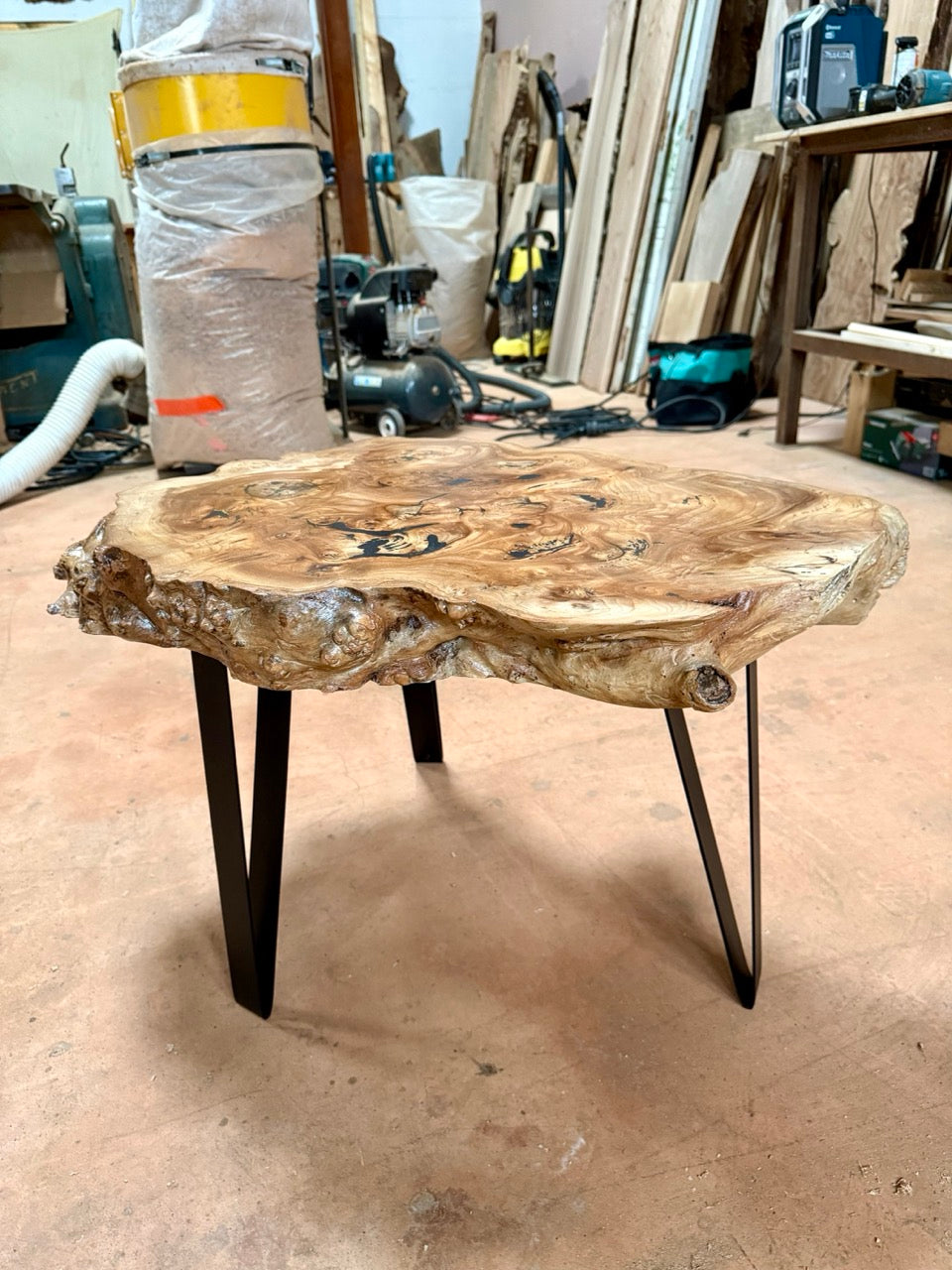 Table basse en rondelle de bois d'orme galeux