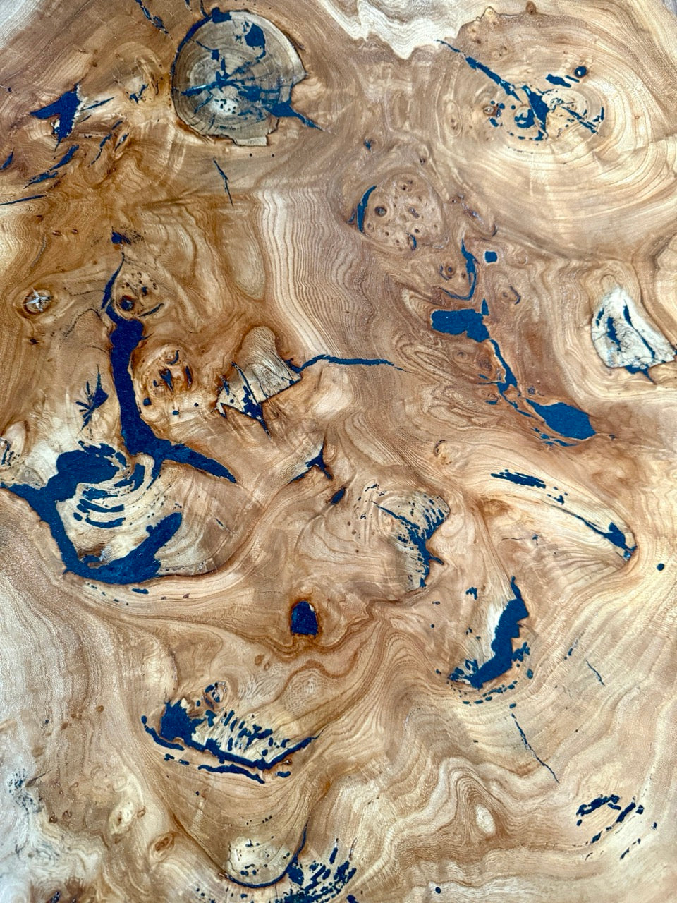 Table basse en rondelle de bois d'orme galeux