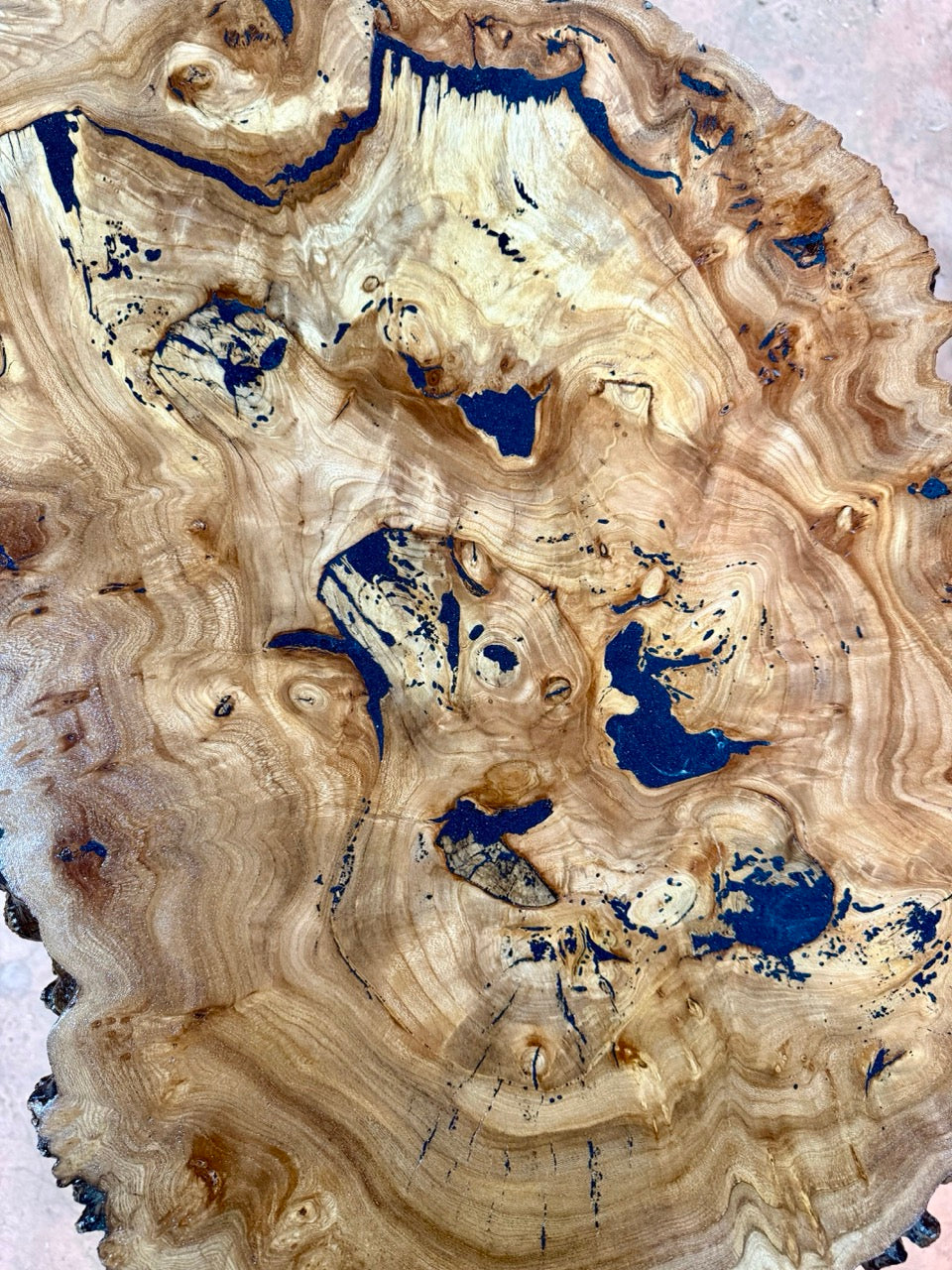 Table basse en rondelle de bois d'orme galeux