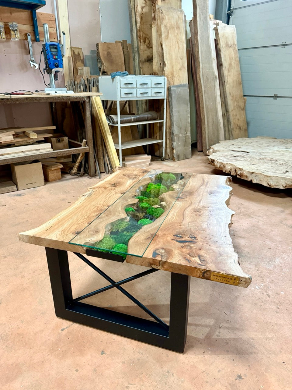 Table basse en bois d'orme et végétaux stabilisés